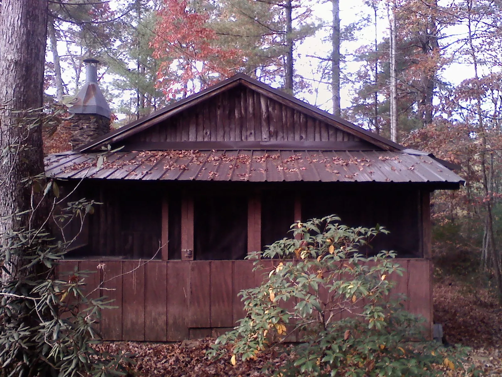 Metal roof over the screened porch of a rustic cabin in Cumming